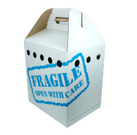 Live Animal Carry Box